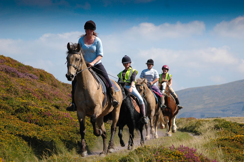 Snowdonia Riding Stables